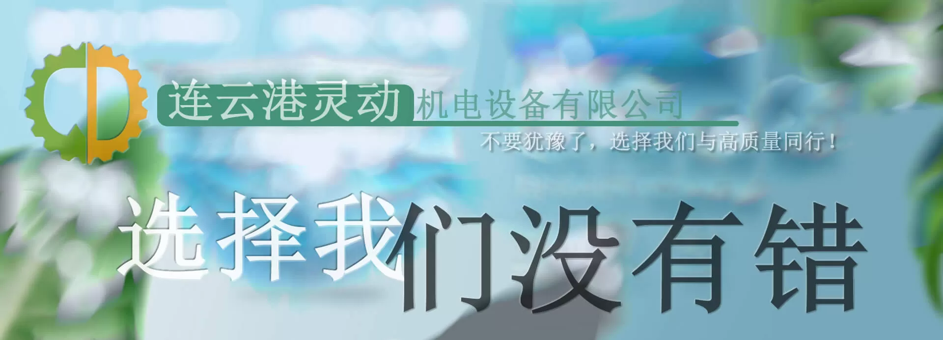 连云港灵动机电设备有限公司